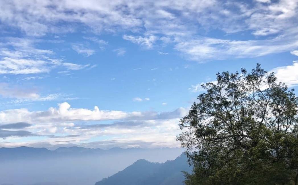 嘉義縣阿里山隙頂雲海。圖片來源：Trip.com