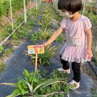 兩手Fing Fing 去camping