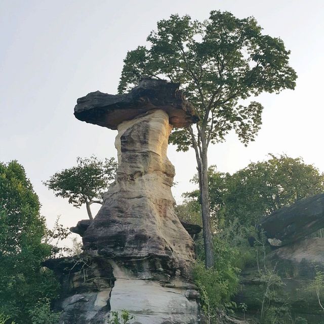 มหัศจรรย์​หินสร้างสรรค์​ด้วยธรรมชาติ