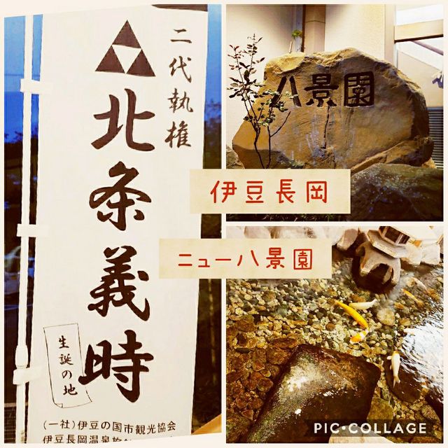 【伊豆長岡】ニュー八景園