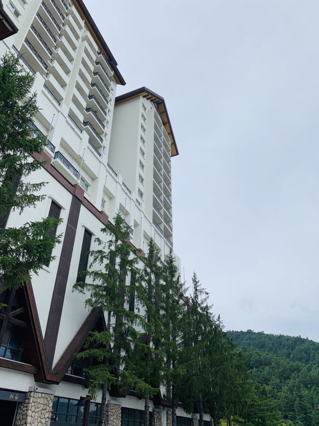 용평스키여행