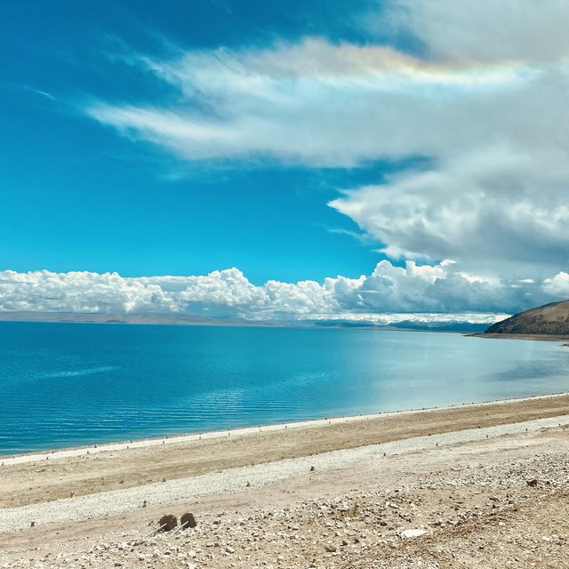 Namtso, the holy lake of Tibet 