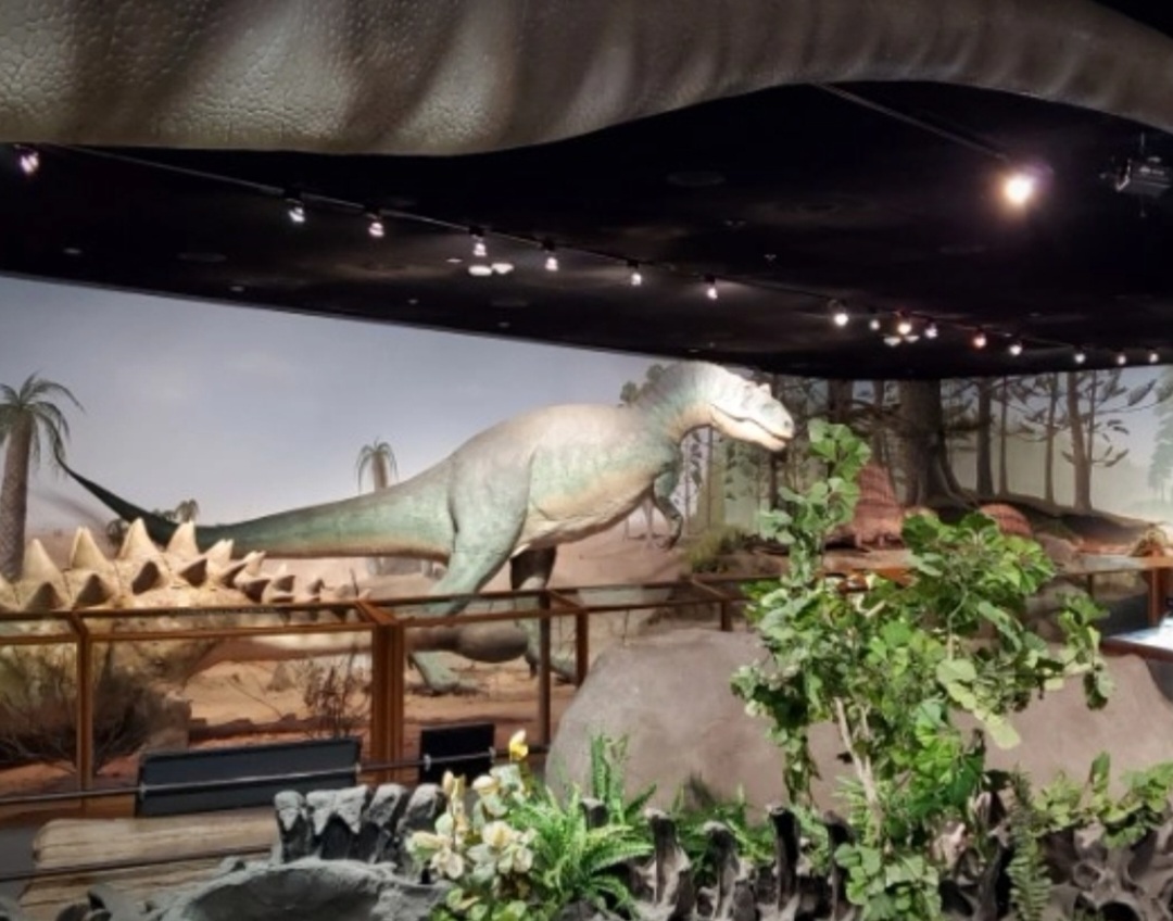 ラスベガス自然史博物館のレビュー ラスベガス自然史博物館のチケット ラスベガス自然史博物館の割引 ラスベガス自然史博物館の交通機関 所在地 営業時間 ラスベガス自然史博物館周辺の観光スポット ホテル グルメ Trip Com ラスベガス自然史博物館のレビュー ラスベガス自然史博物館のチケット ラスベガス自然史博物館の割引 ラスベガス自然史博物館の交通機関 所在地 営業時間 ラスベガス自然史博物館周辺の観光スポット ホテル グルメ Trip Com