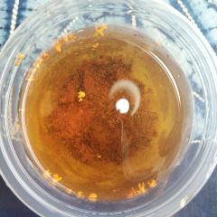 山海滙·老字號白族菜（古城總店）張用戶圖片