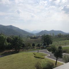 Club Med Joyview安吉度假村·品餐厅 User Photo