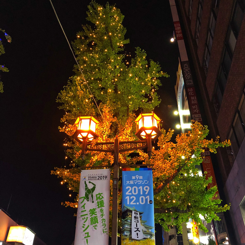 Mido-suji - Osaka Travel Reviews｜ Travel Guide