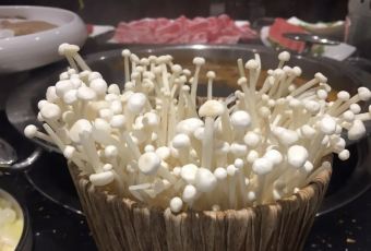 川西坝子火锅(通城店) User Photo