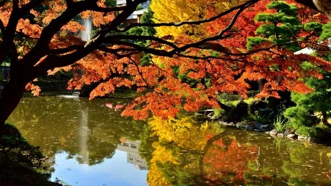 Parco Hibiya attraction in Tokyo