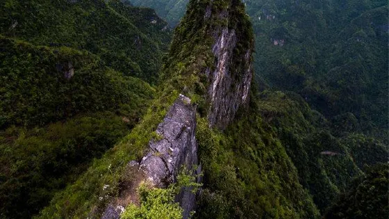 霸王谷景區