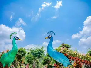 Yuelong Mountain Scenic Spot