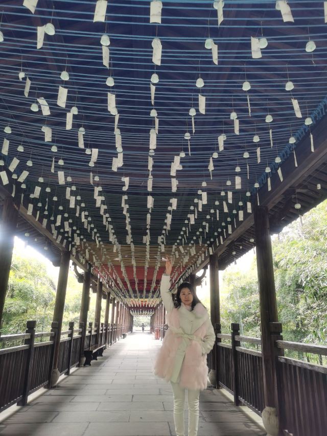 Nanshan Bamboo Sea
