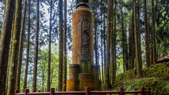 Pagoda of the Tree Spirit