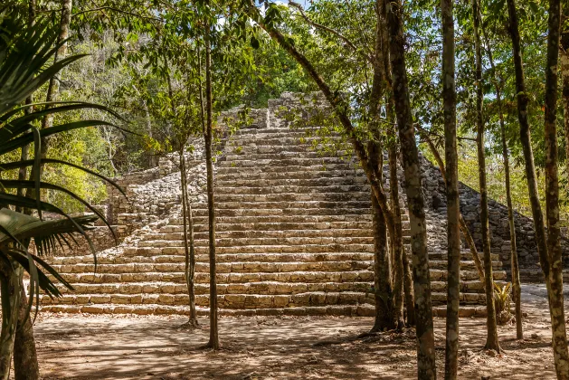 French Bee Airlines Flights to Tulum