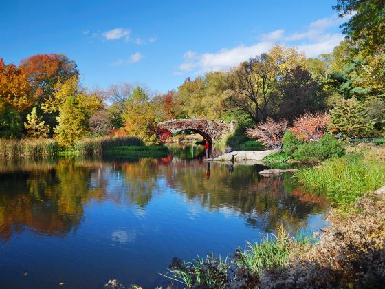 Central Park Zoo