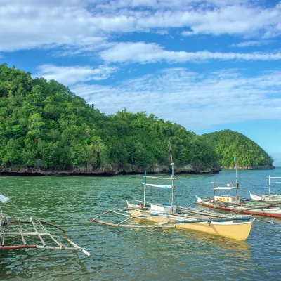 Puerto Princesa to Proserpine Flights