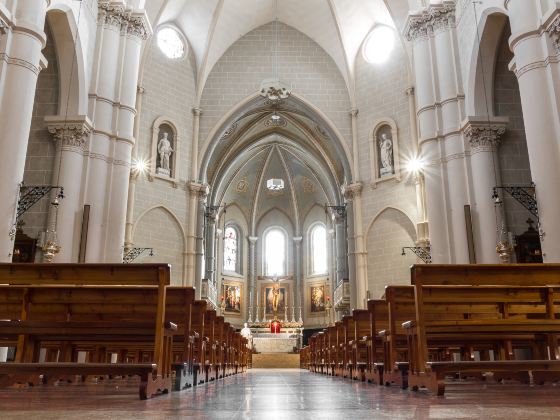 The Manila Cathedral