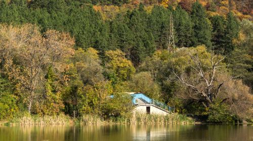 明池國家森林遊樂區