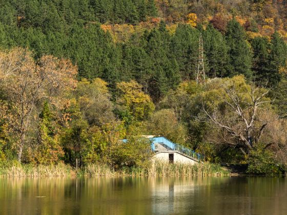 明池國家森林遊樂區