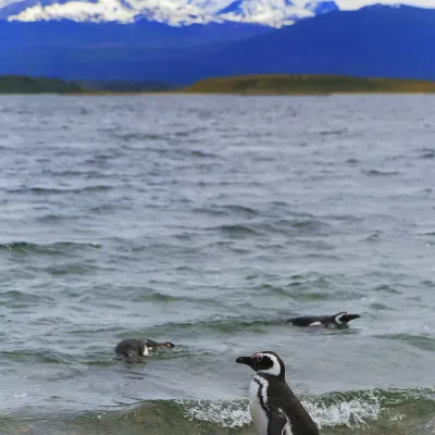 Romney Park Luxury Apartments by the Stay Collection