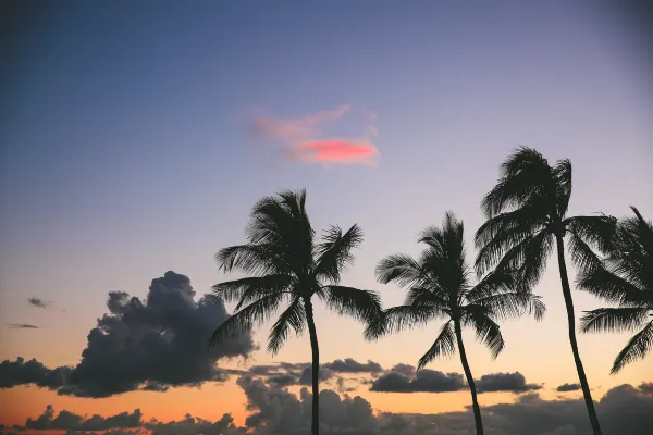 Hilo Reeds Bay Hotel