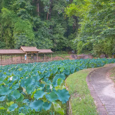 Отзывы об отеле Vienna Hotel (Sanming North Station)