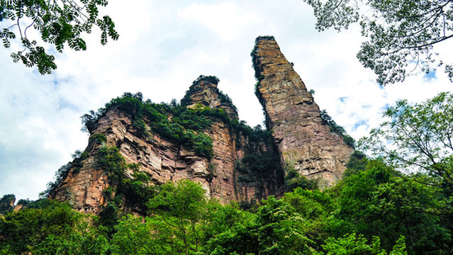 Condor Protecting Whip Scenic Area