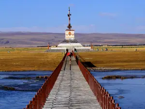 沙柳河風景区