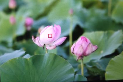 博湖县印象西海风情园