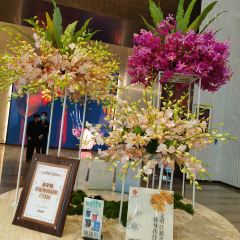 ENCLAVE EIGHT User Photo