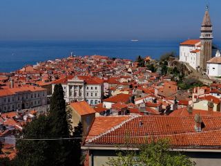 Voli Pisa Maribor diretti