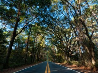 Voli diretti per Tallahassee