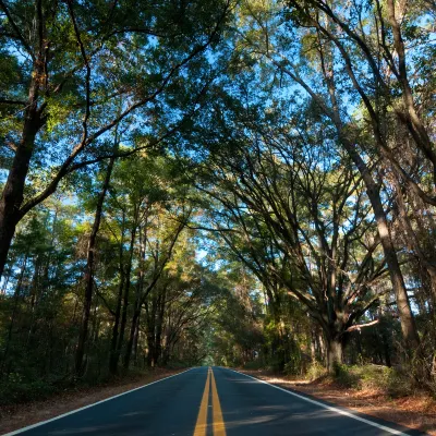 Бутик Отели в г. Стьюарт