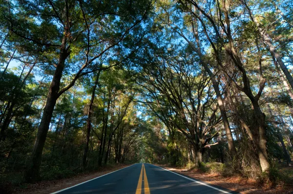 Vé máy bay Tallahassee TP. Hồ Chí Minh