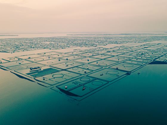 昆山巴城陽澄湖大閘蟹養殖基地