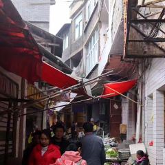 楊記滾米團張用戶圖片