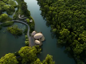 Tongli National Wetland Park