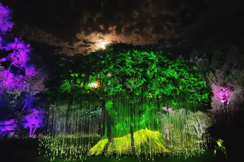 화산 세계·화산 미굴