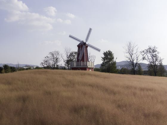 Yangting Wetland Park