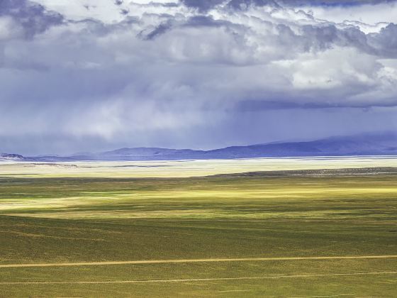 Qiangtang Prairie