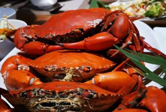 The Buffet at Bellagio User Photo
