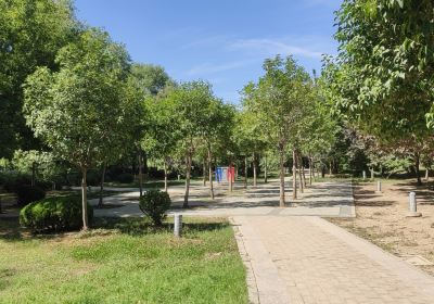 Tongzihe Park