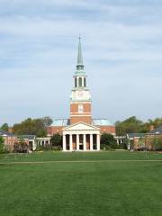 Universidad de Wake Forest