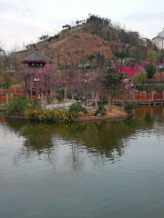 Zhongyang Park