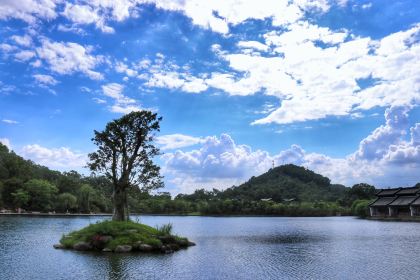 中海湯泉酒店·東坡館