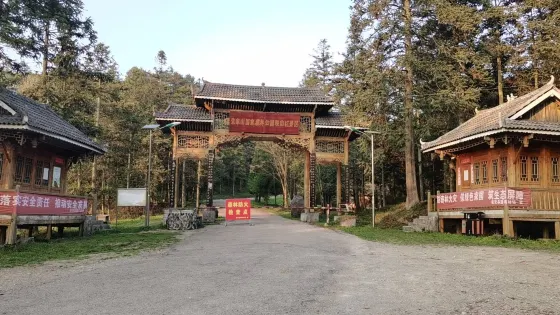 朱家山國家森林公園映山紅景區