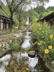 上壩河國家森林公園