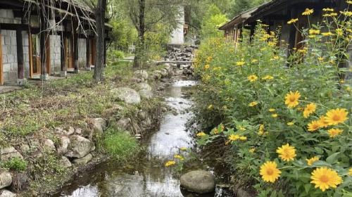 Shangbahe National Forest Park