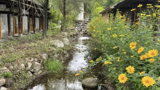 上壩河國家森林公園