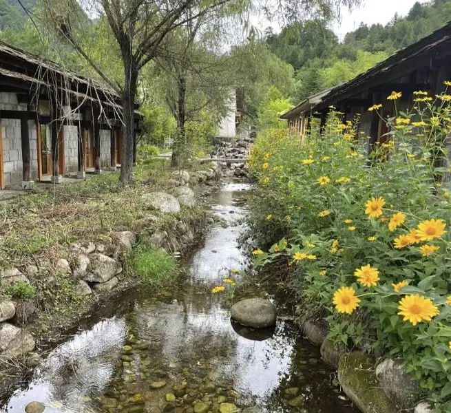 上壩河國家森林公園