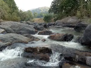 Daringbadi Udayagiri Forest Range